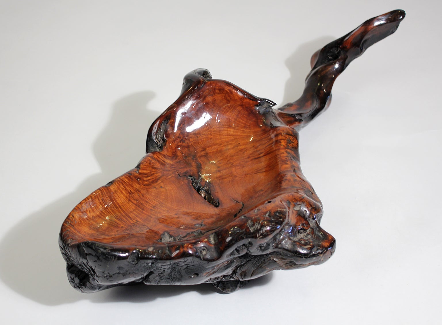 Large Free Form Burl Root Wood Lacquered Centerpiece Bowl For Large Free Form Burl Root Wood Lacquered Centerpiece Bowl For At 1stdibs