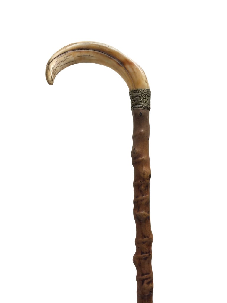 19c Walking Stick with Bone Handle For Sale at 1stdibs