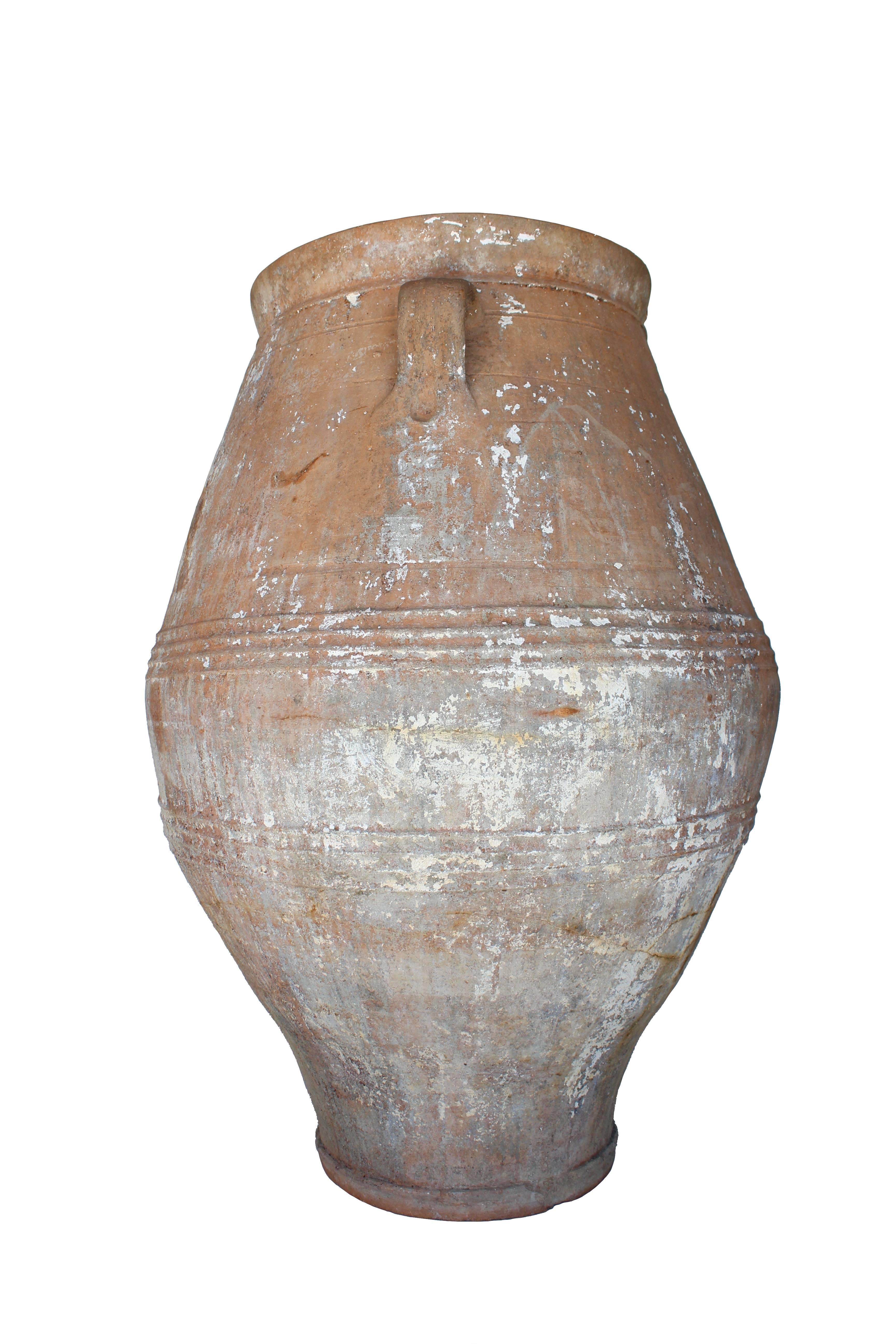 Greek European Olive Jar