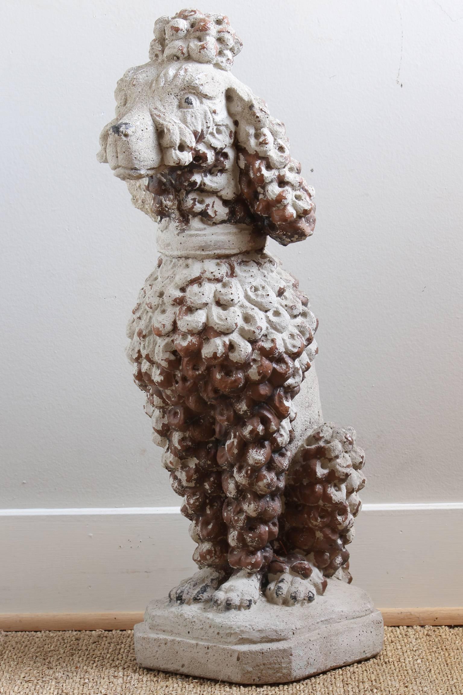concrete poodle