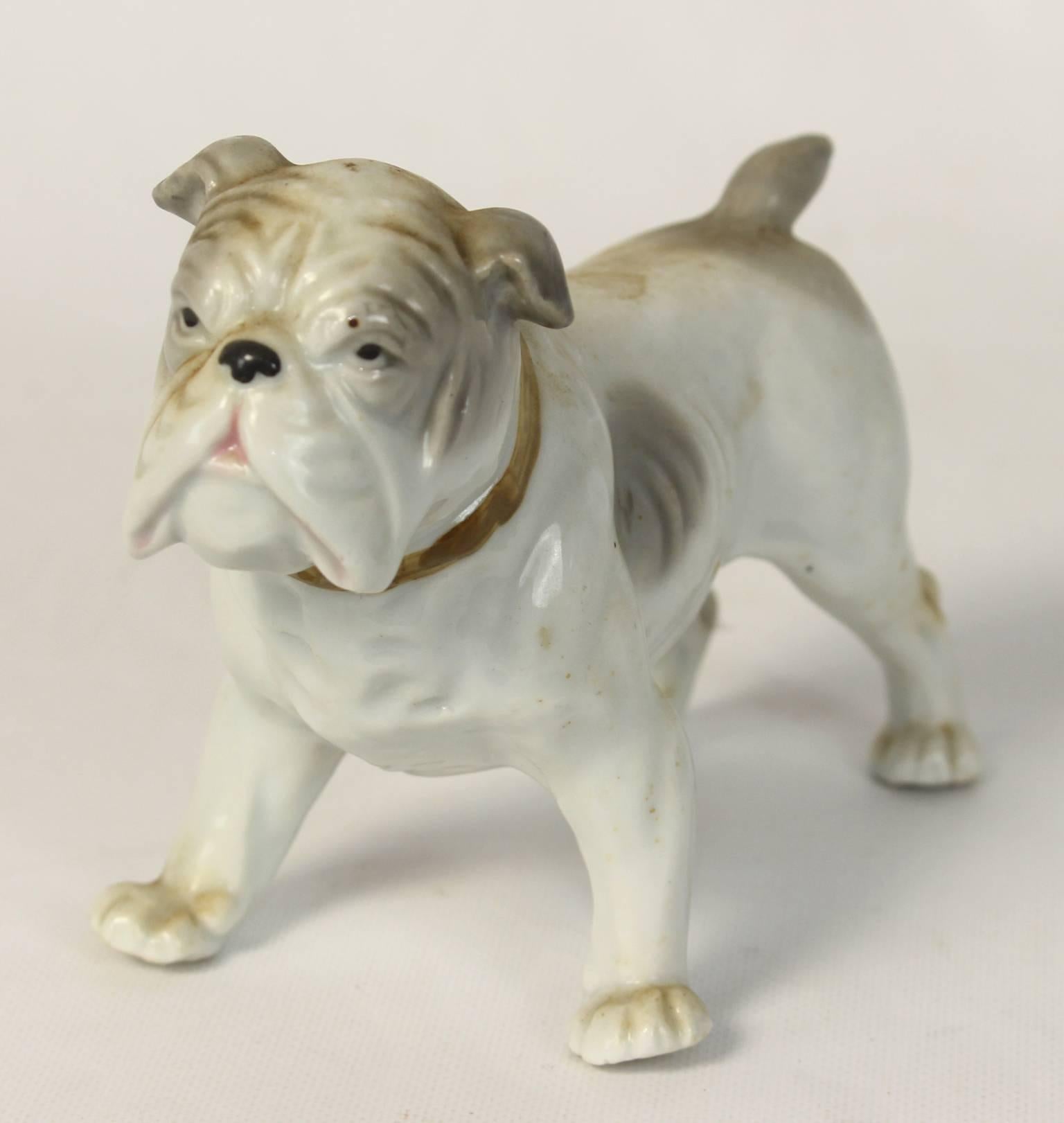 Collection of Porcelain Bulldogs 5