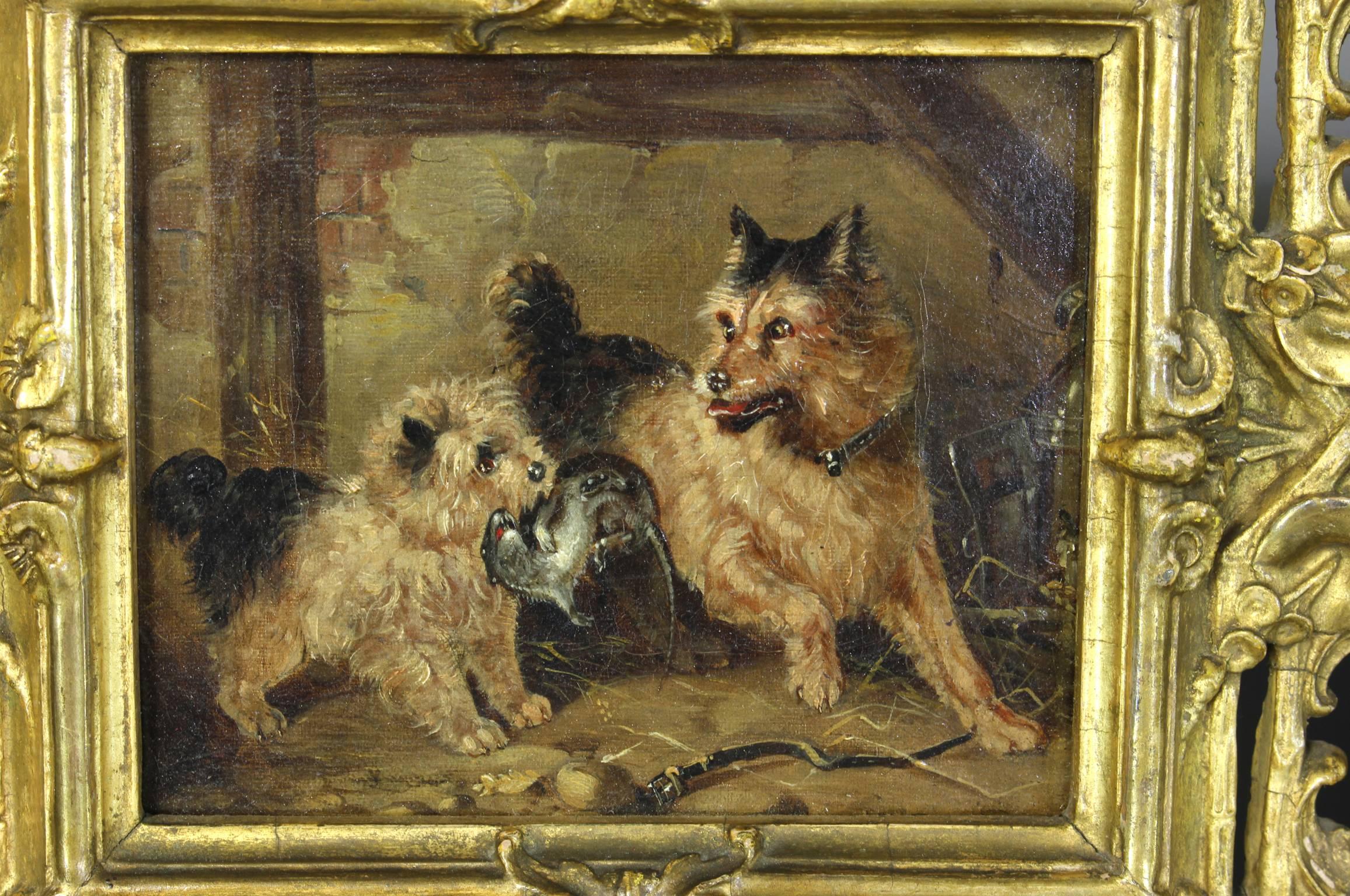 A small and very charming oil on canvas painting of two terriers with a rat in a stable  attributed to George Armfield (British 1808-1893) set in an elaborate gilt wood frame. Unsigned. 