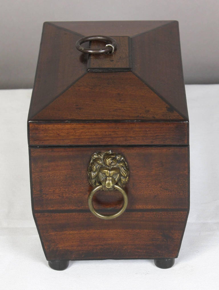 Regency Sarcophagus Shaped Tea Chest at 1stDibs