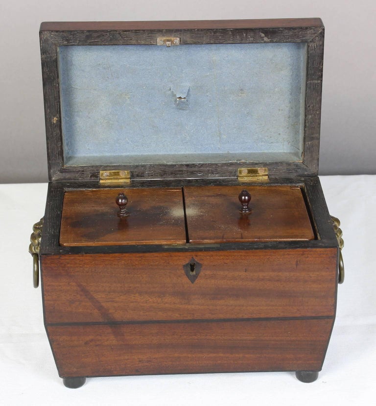 Regency Sarcophagus Shaped Tea Chest at 1stDibs