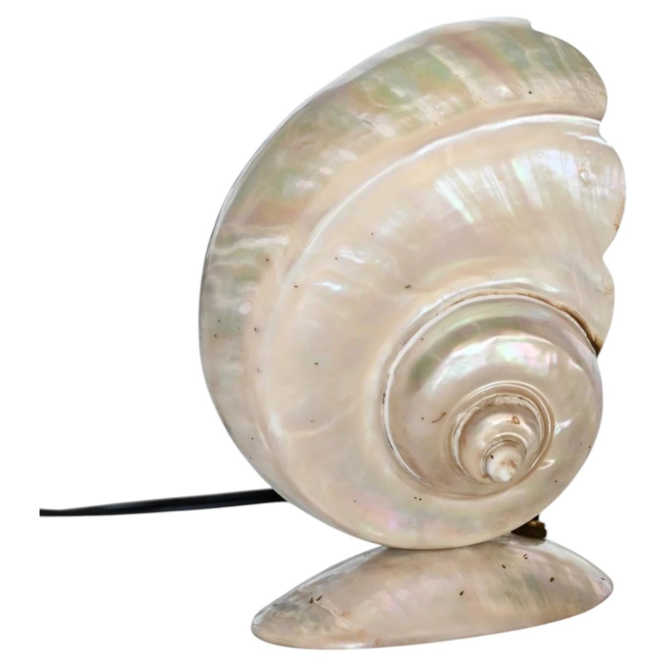 Lámpara vintage con concha de caracol marino Turbo Marmoratus
