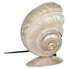 Vintage Turbo Marmoratus Sea Snail Shell Lamp