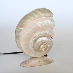 Vintage Turbo Marmoratus Sea Snail Shell Lamp