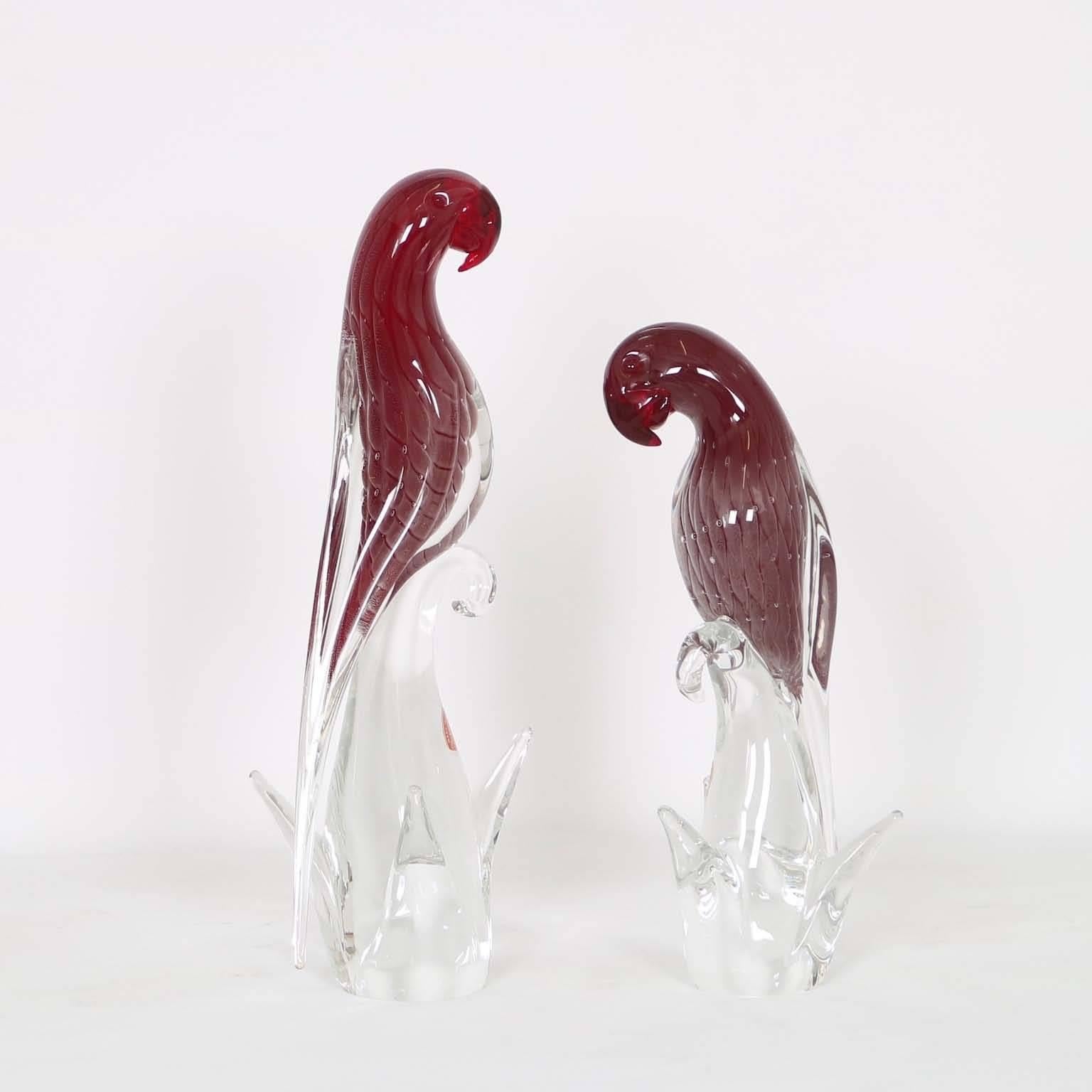 Italian Pair of Murano Glass Parrot Birds by Barbini
