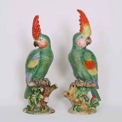 Italian Majolica Parrots