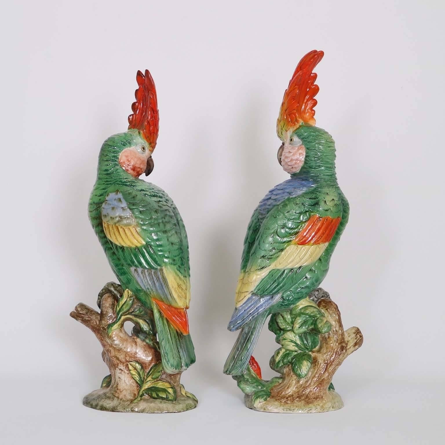 Glazed Italian Majolica Parrots