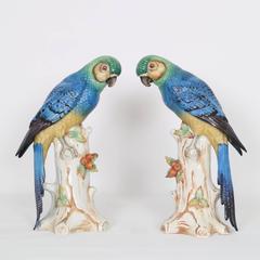 Pair of Meissen Style Porcelain Parrot Figures