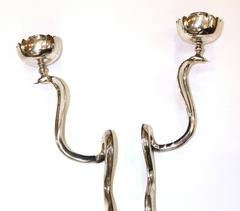 Pair of Serpentine Cobra Candle Sconces