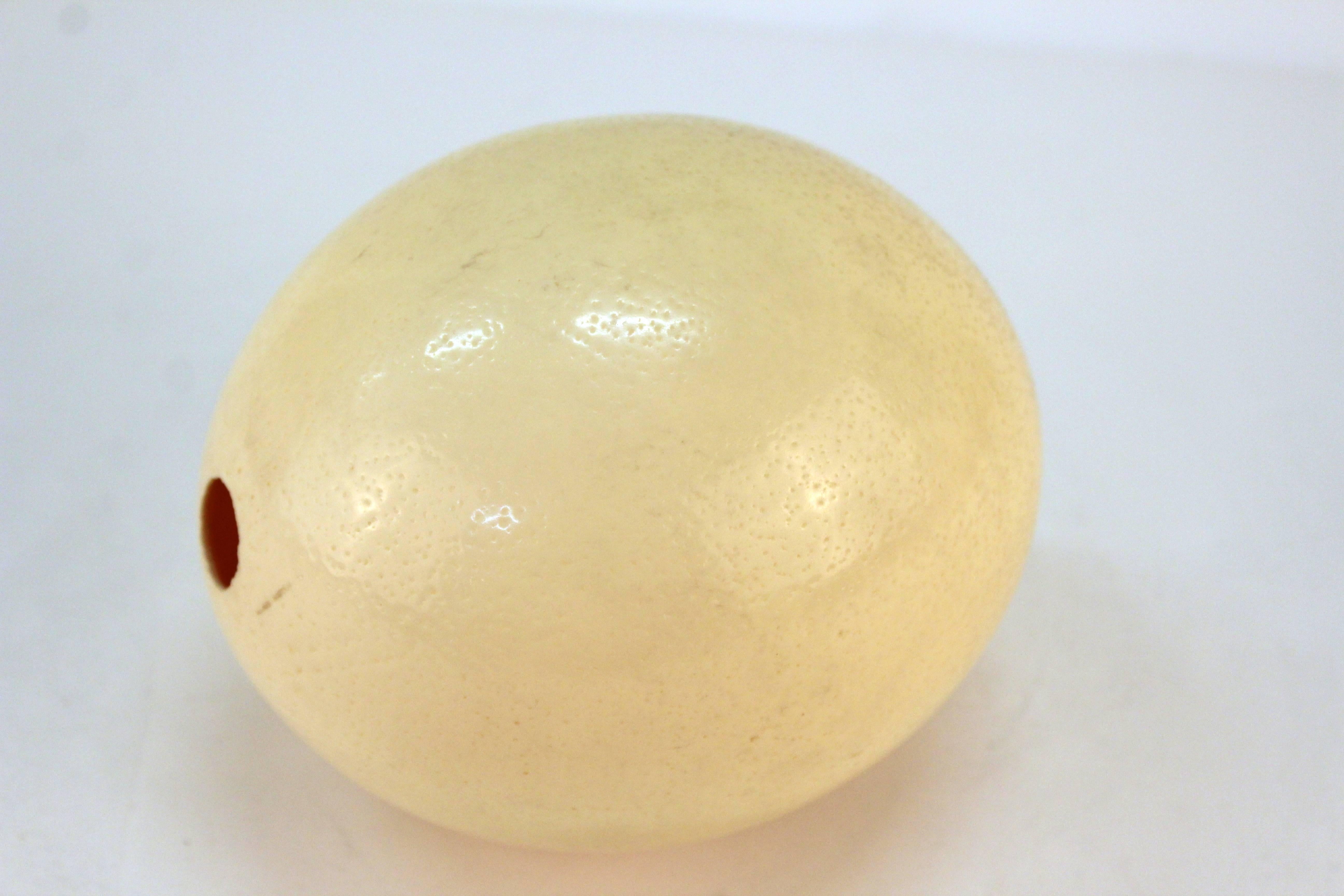 Antique Ostrich Egg on Gold-Tone Stand 3