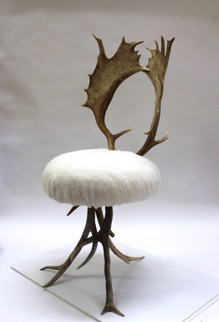 Pair Of Antler Chairs For Sale At 1stdibs
