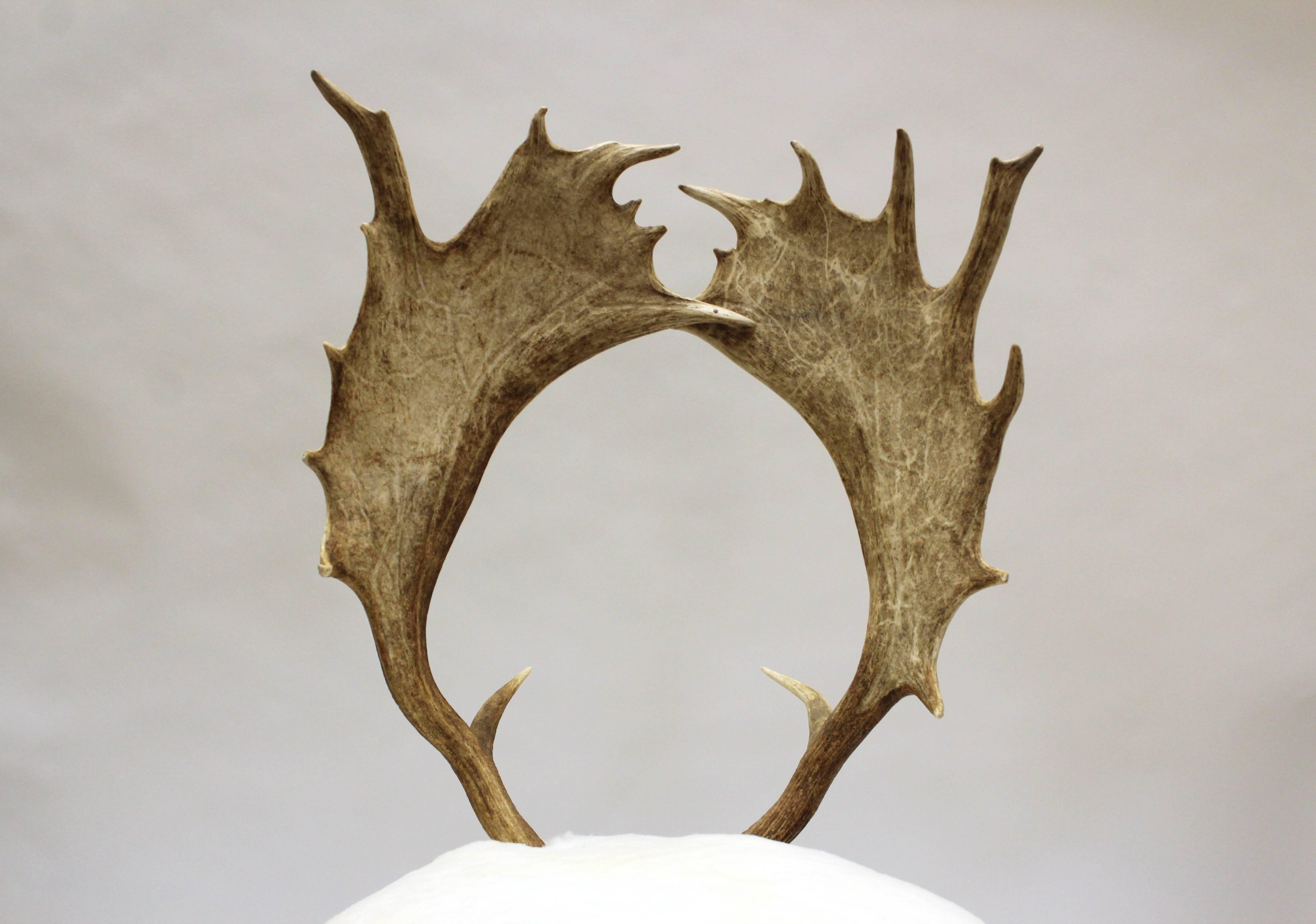 Pair of Antler Chairs 2