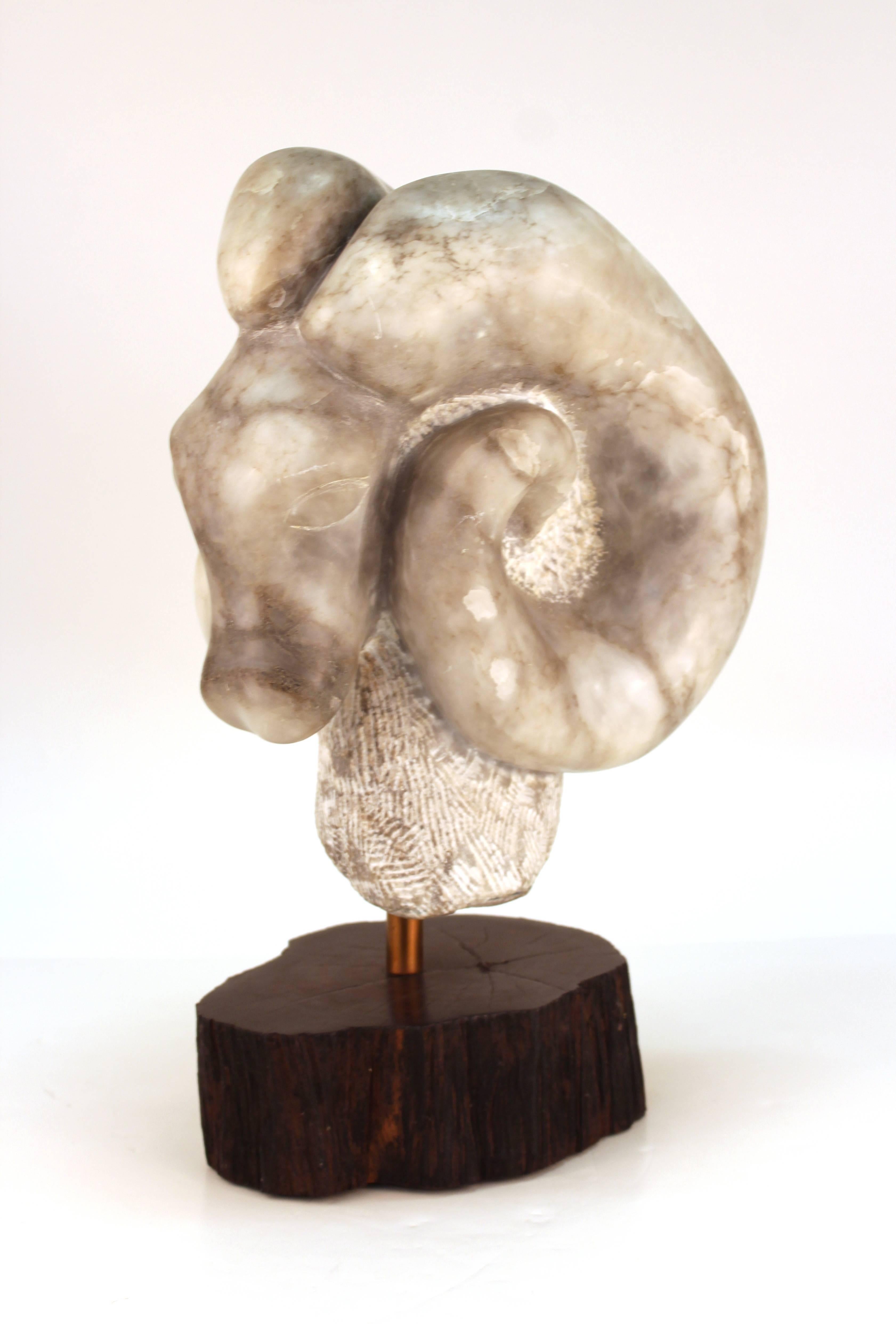 A Mid-Century Modern sculpted marble statue depicting a ram's head. The piece is mounted on a wooden rotating base. The piece is in remarkable vintage condition appropriate with age and use.