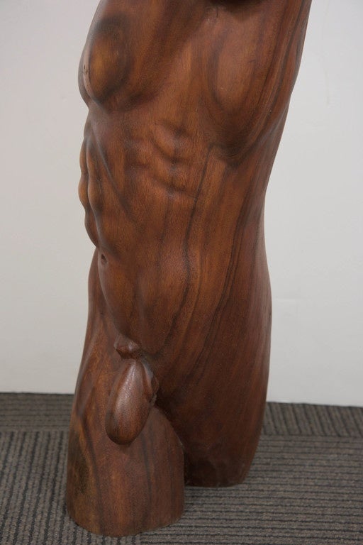 Midcentury Sculptural Male Torso in Carved Brazilian Mahogany 1