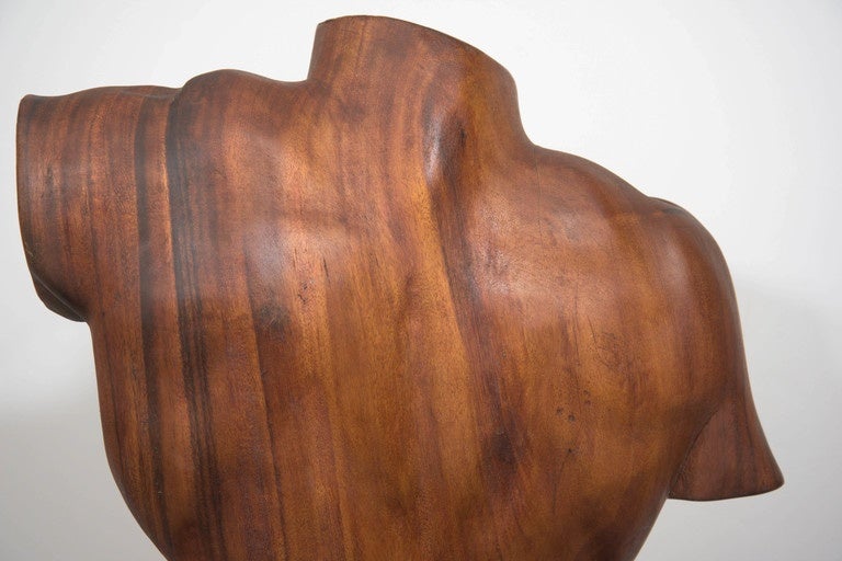 Midcentury Sculptural Male Torso in Carved Brazilian Mahogany 3