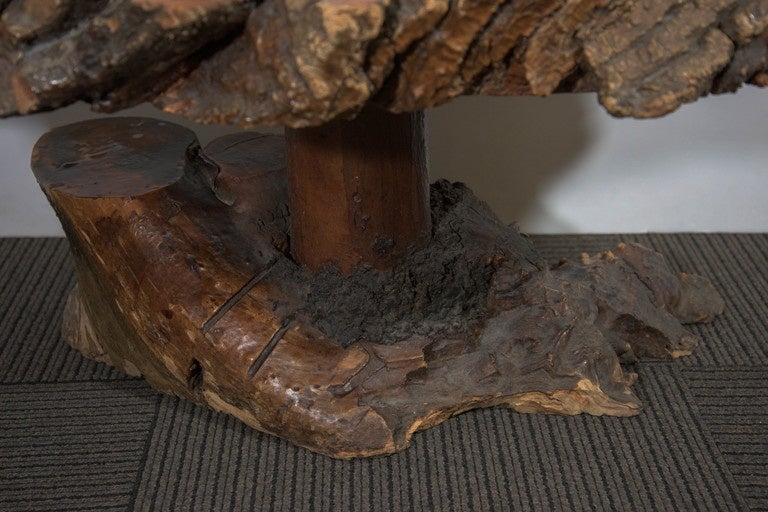 live edge cypress coffee table