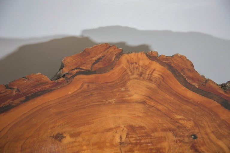 Mid-20th Century Vintage Burled Cypress Wood Live Edge Side Table