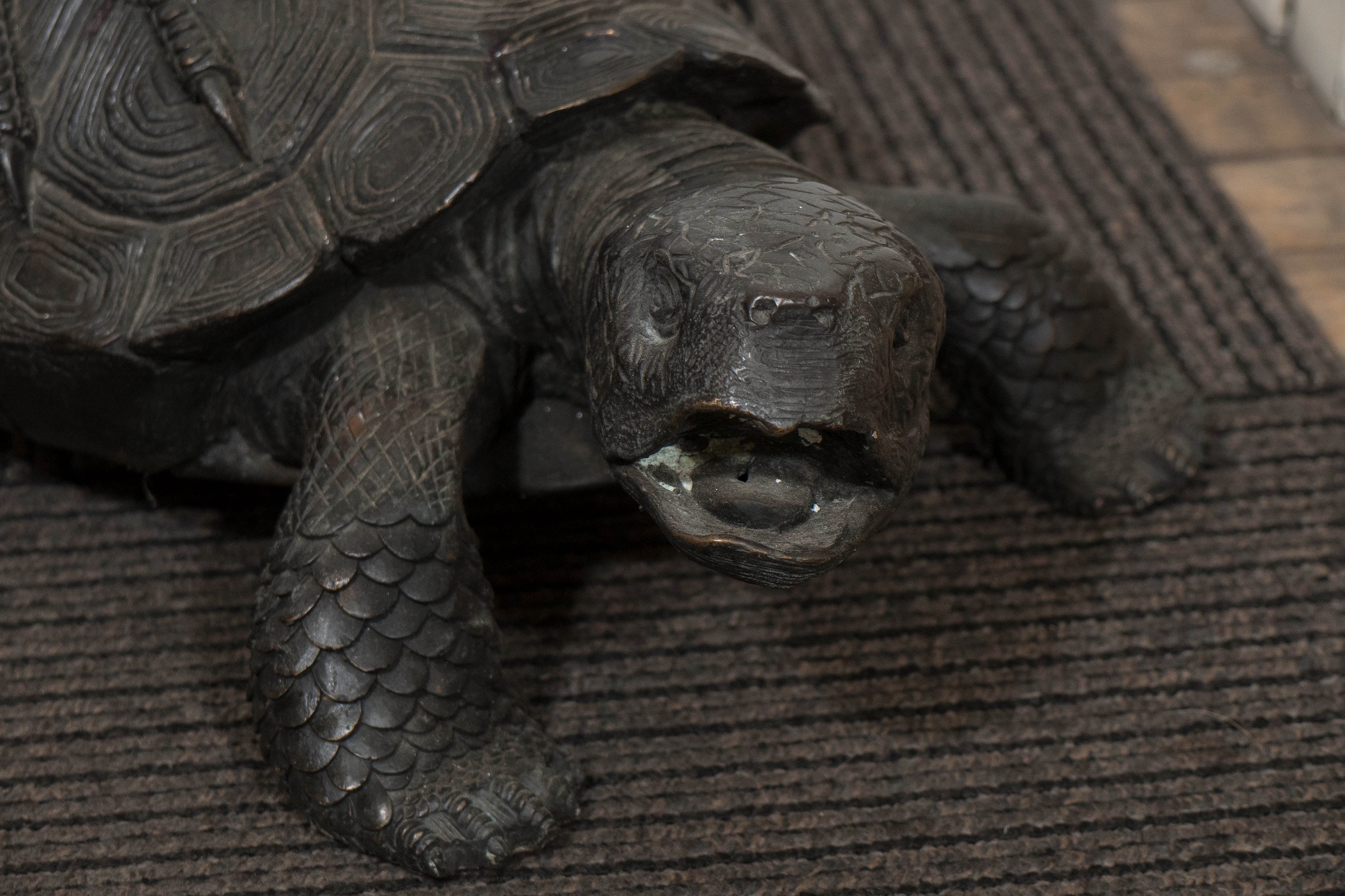 Pair of Patinated Bronze Cranes on Turtles 4