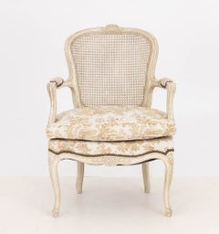 Louis XV Style Cane Paneled Back Fauteuil with Chinoiserie Style Upholstery