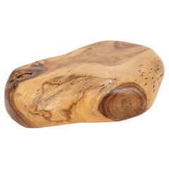 Mesa de centro moderna de madera de teca con nudos y bordes naturales, de forma libre