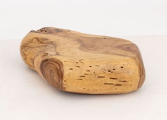 Modern Live Edge Teak Burl Freeform Wood Coffee Table