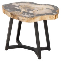 Contemporary Resin and Petrified Wood Live Edge Side Table