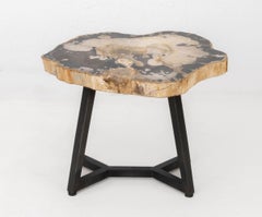 Contemporary Resin and Petrified Wood Live Edge Side Table