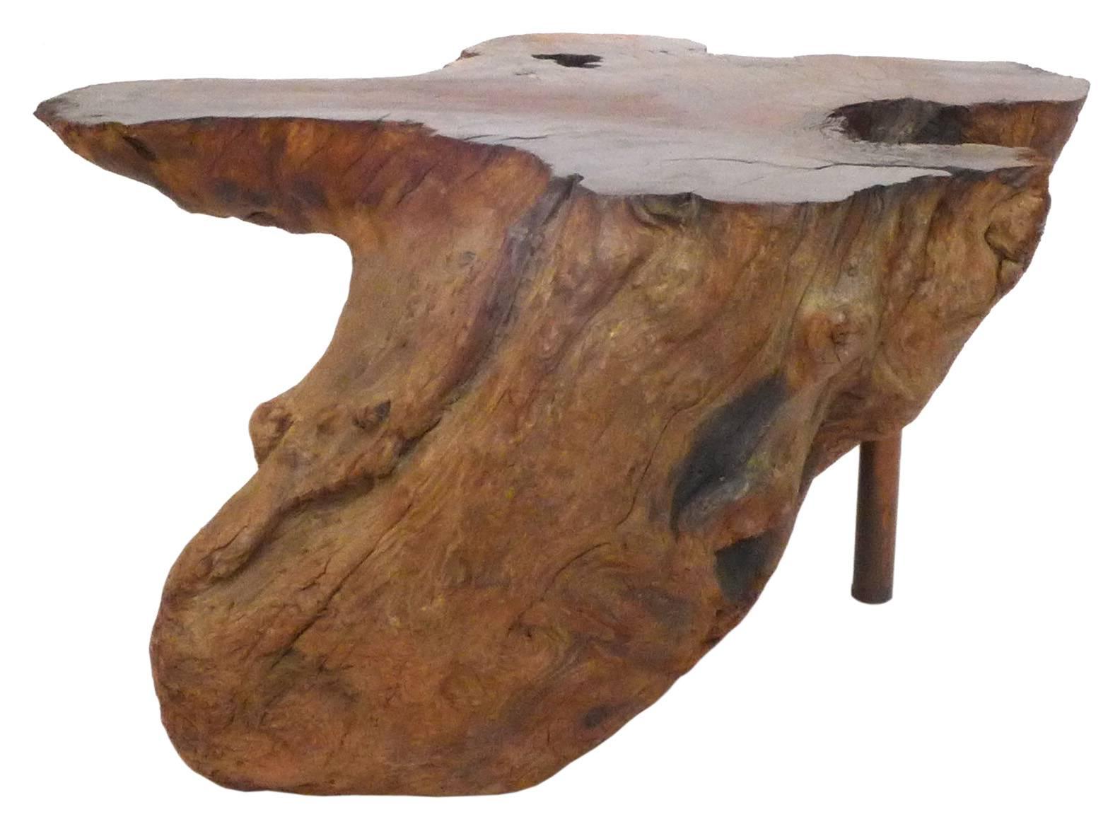 A delightful side table in burl and copper. Cleverly constructed of one sawn chunk of burl held upright with the assistance of a single, copper-tube leg; a compact yet powerful and dynamic form with an asymmetrical, meandering, free-edge top and