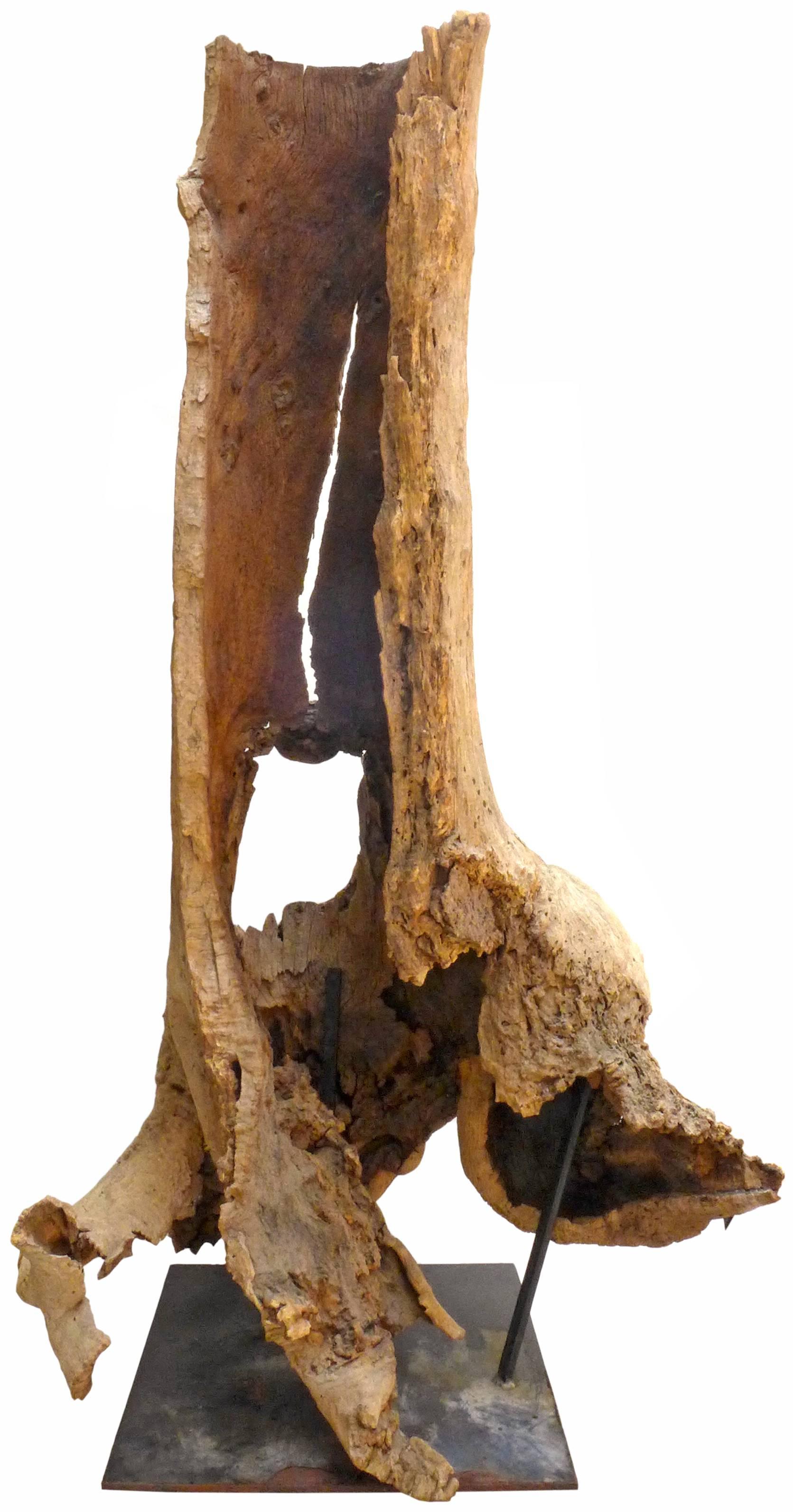 A monumental, mounted, tree trunk sculpture. An awesome, towering, organic pillar mounted to a welded steel base. A dynamic Silhouette and an incredible, textured and gnarled, monochromatic surface; a fissure running down the upper shaft opening to