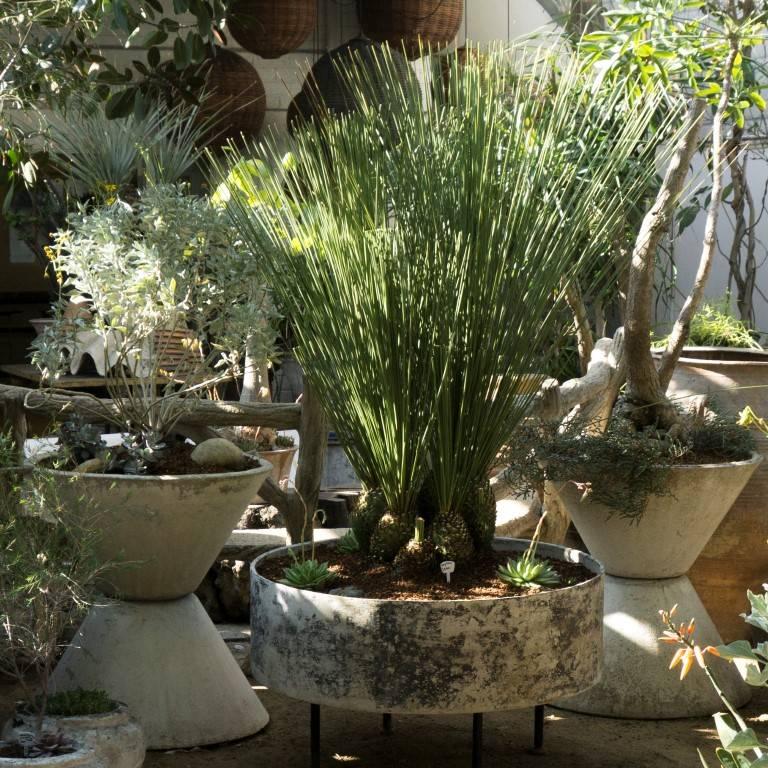 Mid-20th Century Modern French Conical Cement Planters, circa 1960