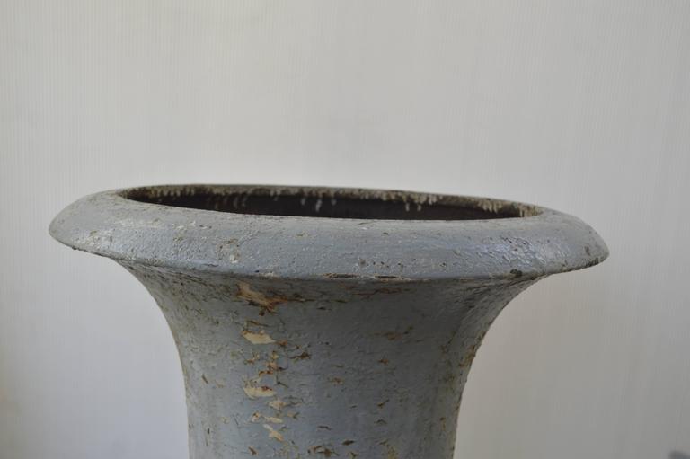 Antique 19th Century French Cast Iron Medici Urn For Sale at 1stDibs
