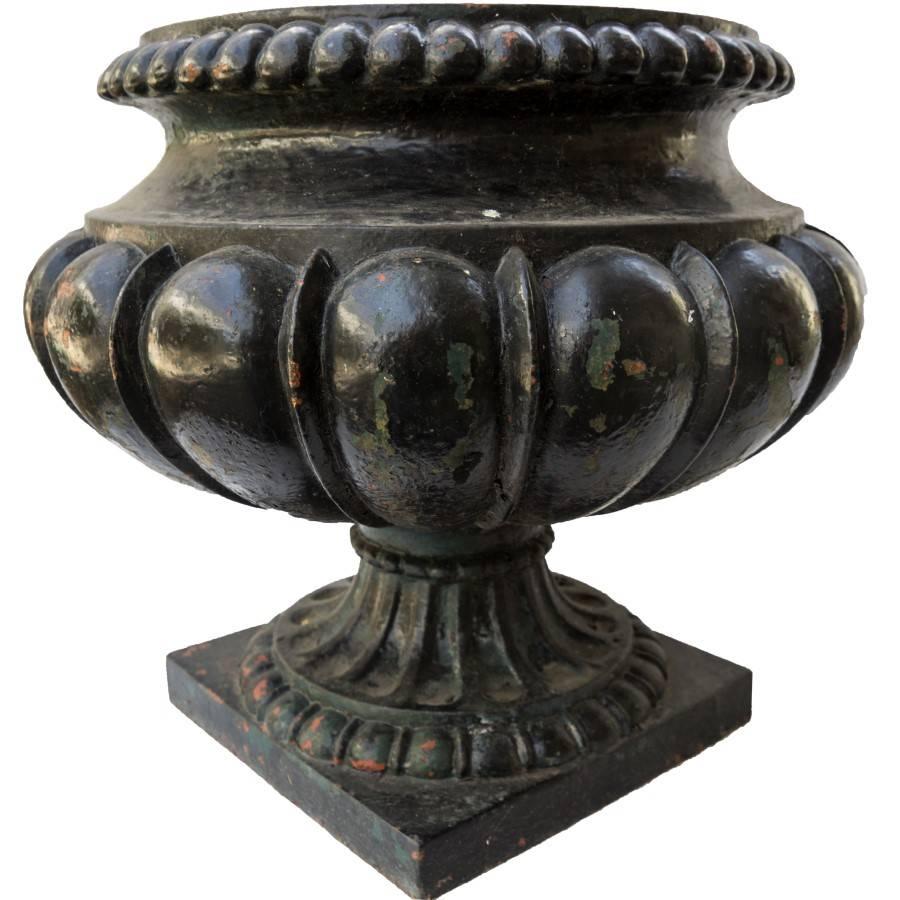 Antique French Black Cast Iron Urns 3