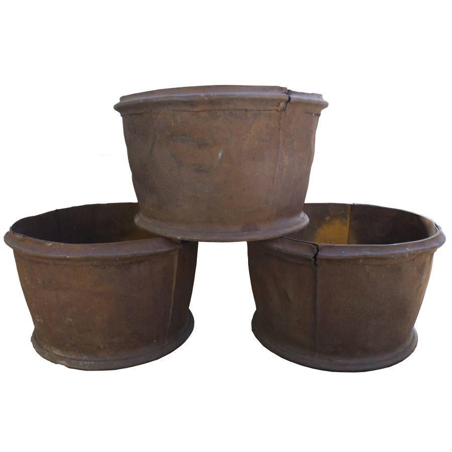 Large Black and Gold Tole Container For Sale at 1stdibs