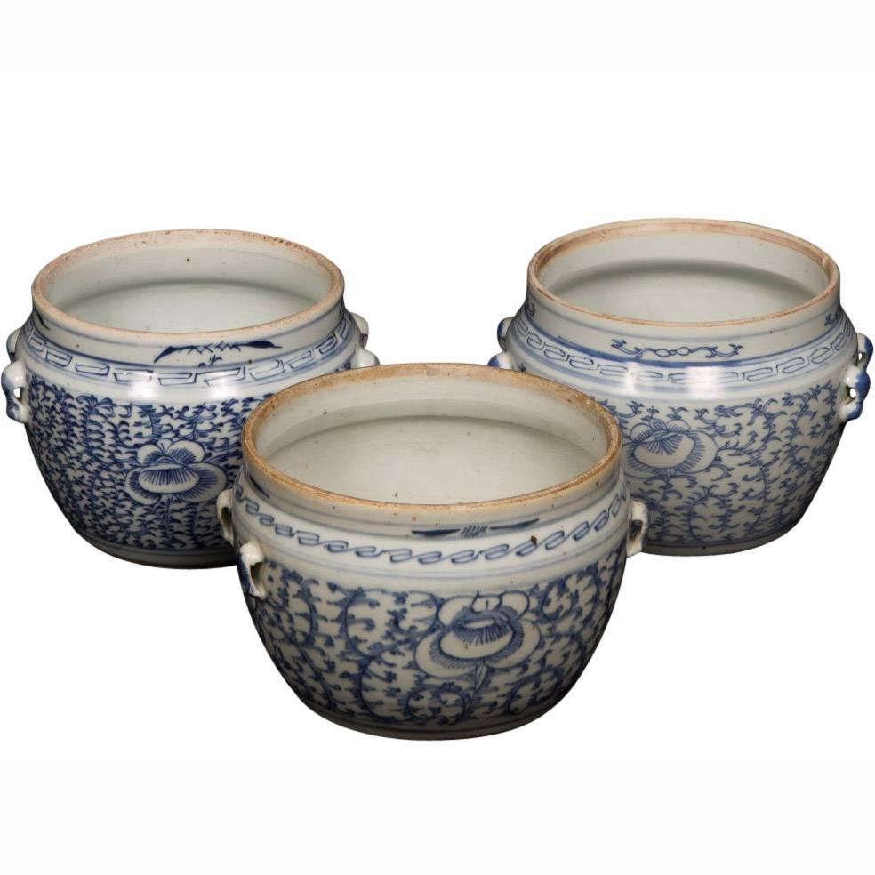 A set of Chinese "Gam Ching" apothecary bowls for your interior organic decoration will stand out as a creative use of these wonderful antiques. Featuring floral patterns in blue glaze over the glossy white ceramic and a patina that