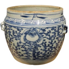 Antique Apothecary Bowls from 19th Century China