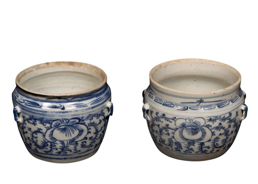 Antique Apothecary Bowls from 19th Century China 1