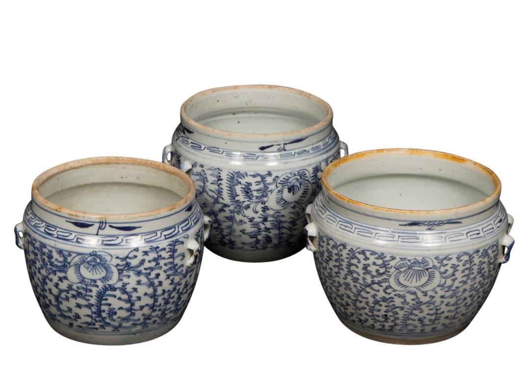 Antique Apothecary Bowls from 19th Century China In Good Condition In Culver City, CA