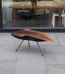 Carl Auböck Large Walnut Tree Trunk Table