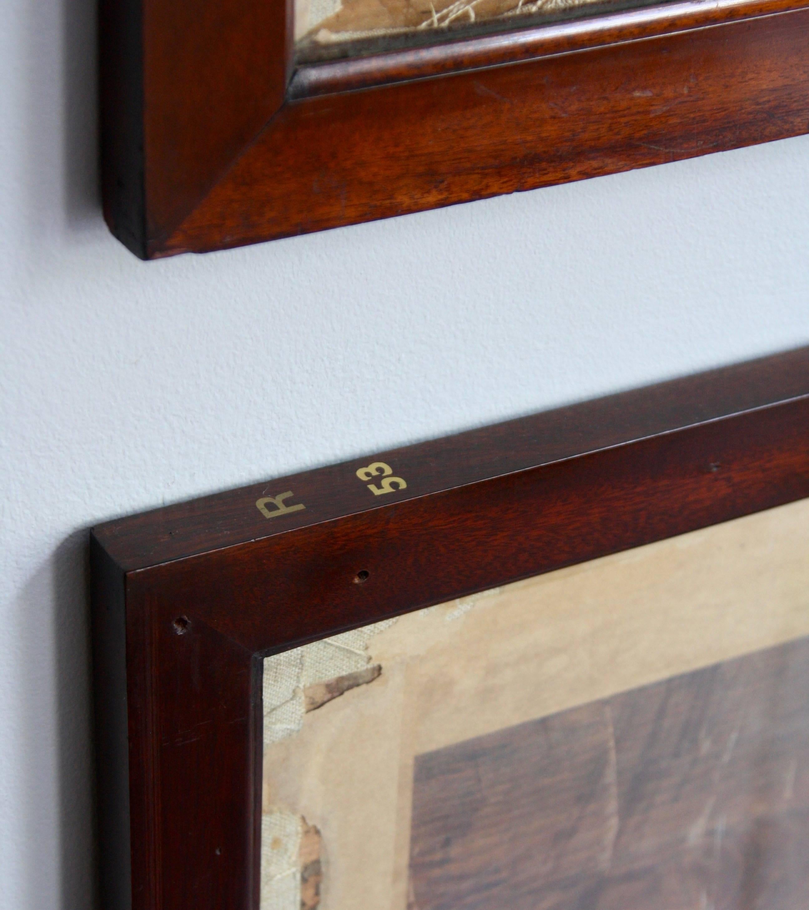 specimen display case