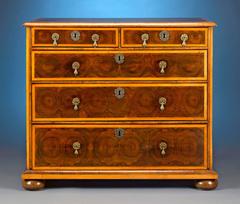 English William and Mary Oysterwood Chest