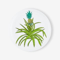 Jonas Wood Fine Bone China Plate - Limited Edition