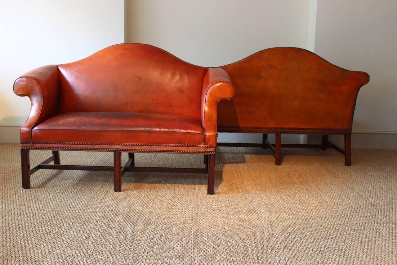 Pair of Early to Mid-20th Century English Humpback Leather Sofas 4