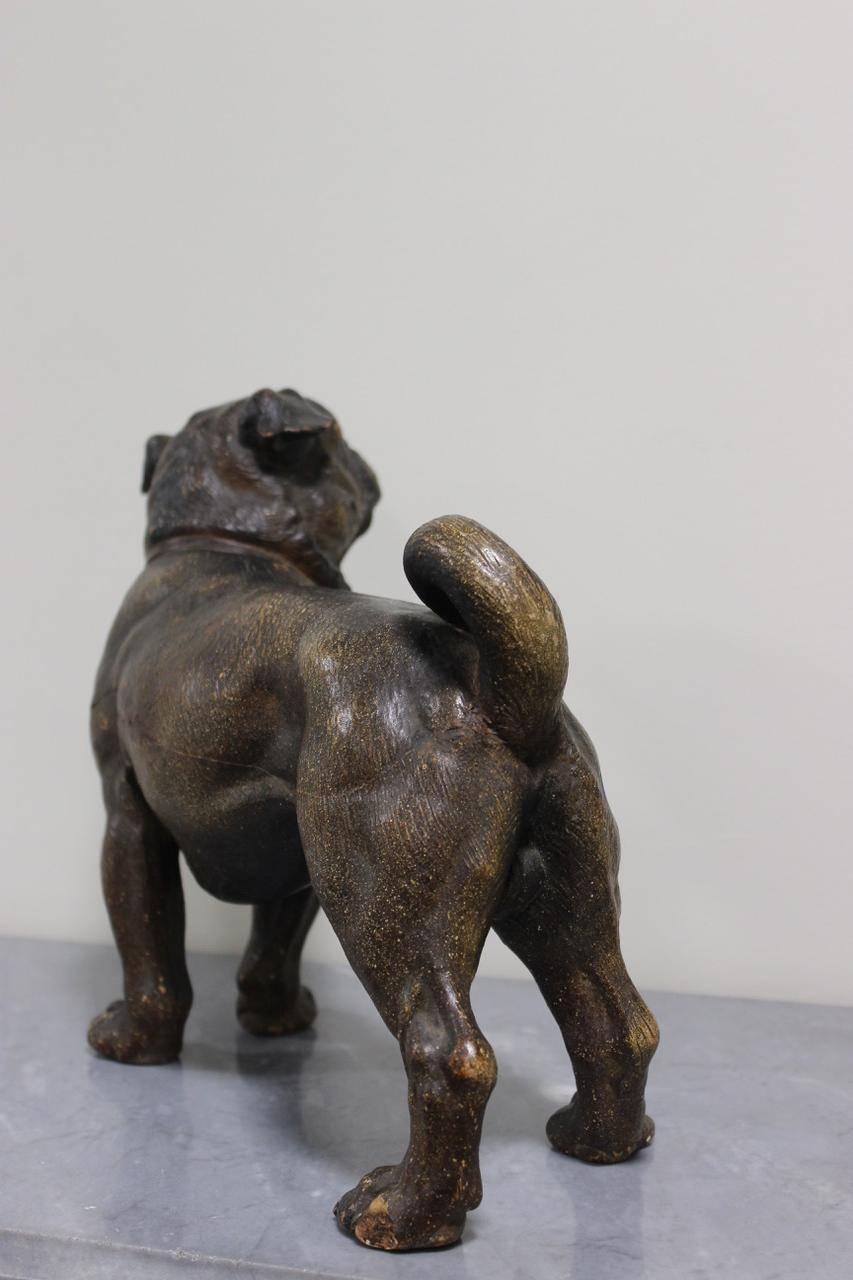 A good quality and charming painted terracotta model of an inquisitive pug with inset glass eyes, French, early 20th century.
       