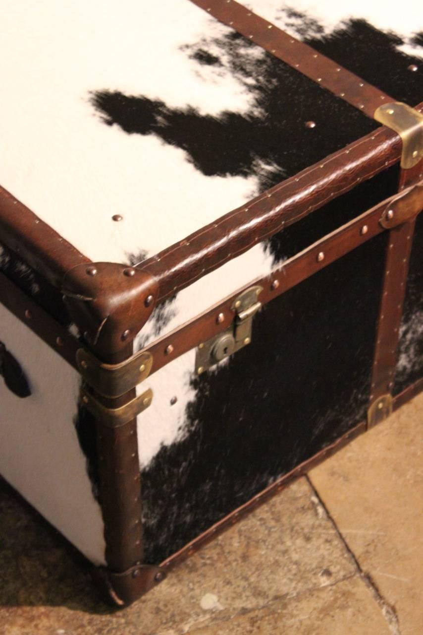Bespoke Cowhide Trunk / Coffee Table In Good Condition In Gloucestershire, GB