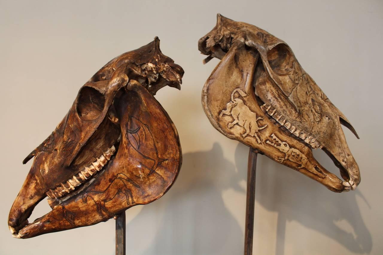 A fine pair of ceremonial carved horses skulls, dating from the 19th century, from the Pacific island of "Sumba" where horses are considered to be gods. Horses were first taken to the island by Dutch traders.