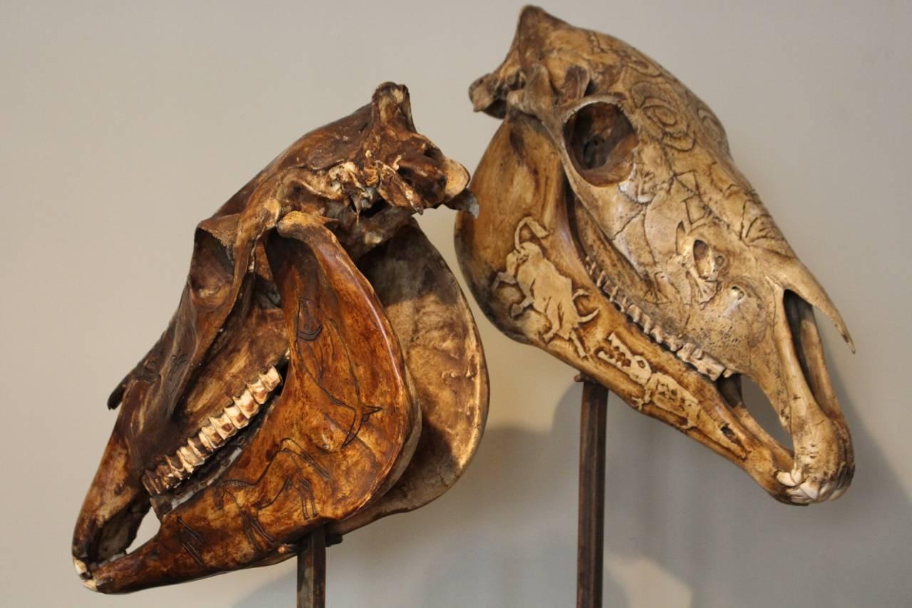 Hand-Carved Pair of 19th Century Carved Horses Skulls