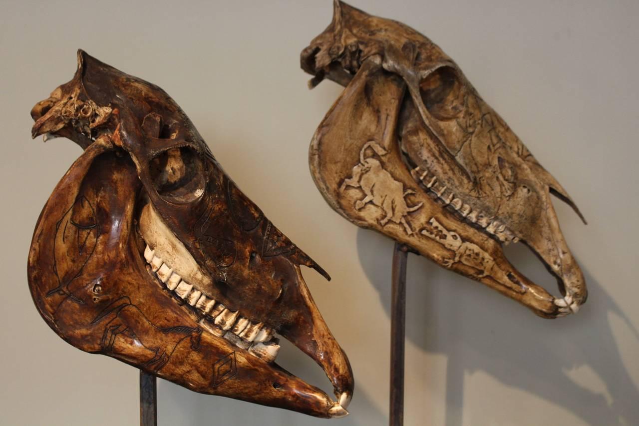 Pair of 19th Century Carved Horses Skulls In Excellent Condition In Gloucestershire, GB